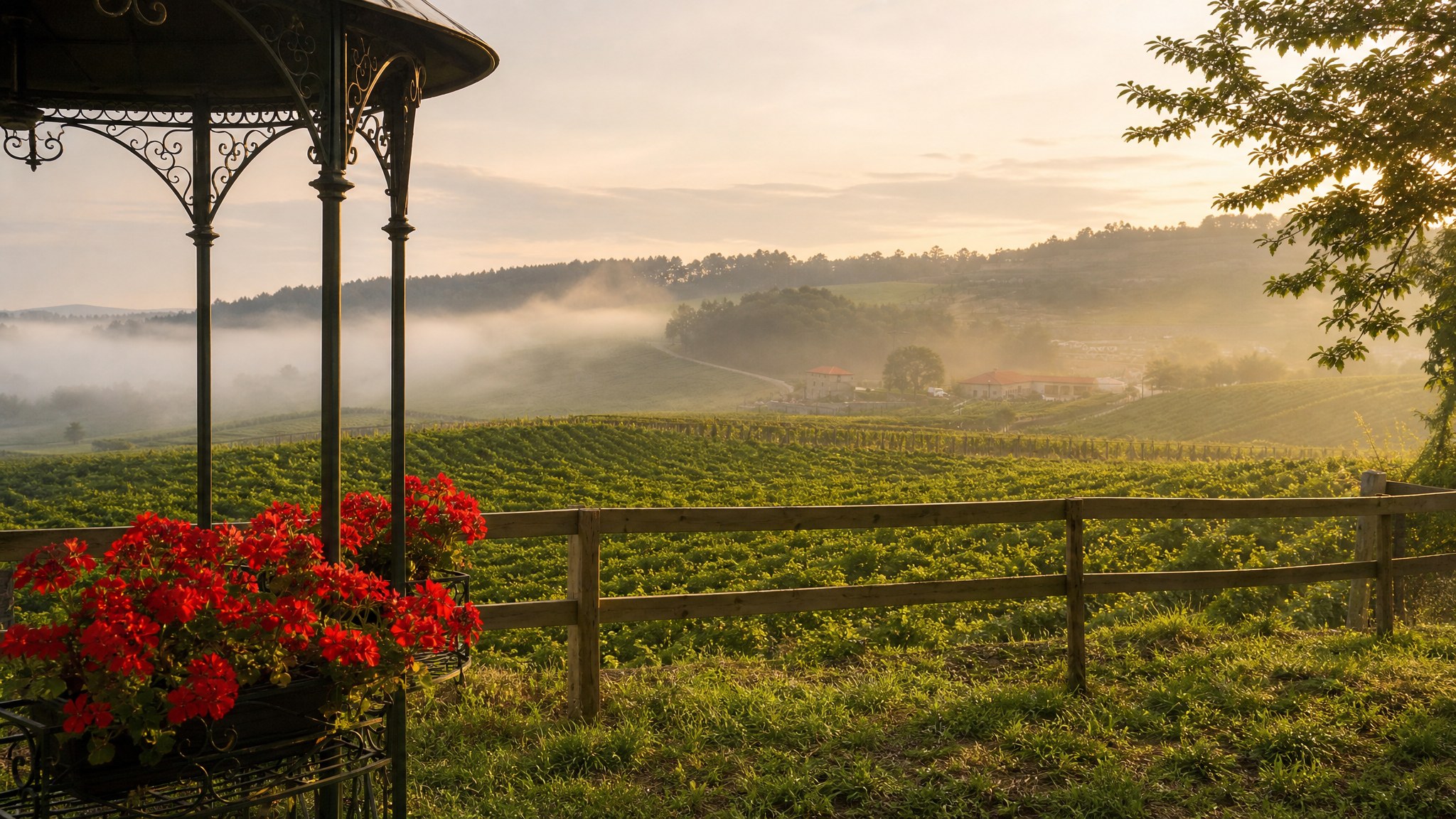Misty morning over Northern Portuguese vineyards with wrought-iron gazebo and red geraniums